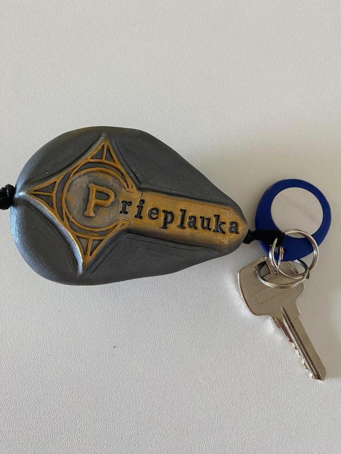 Rezidencija "Prieplauka" Vandrehjem Alytus Eksteriør billede